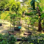 台北市立植物園