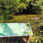 台北市立植物園