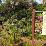 台北市立植物園