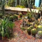 台北市立植物園