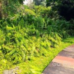 台北市立植物園