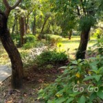台北市立植物園