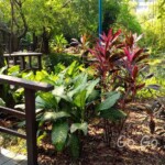 台北市立植物園