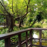 台北市立植物園