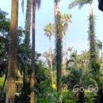 台北市立植物園