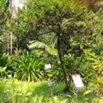 台北市立植物園
