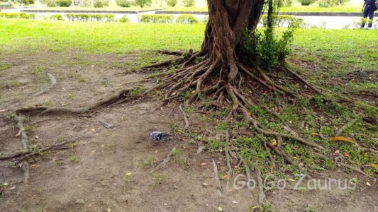 二二八和平公園